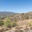 land for sale evrychou nicosia 7579973 thumbnail 15064542
