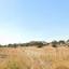 land for sale ypsonas limassol 8587973 thumbnail 15697240