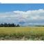 plot for sale zygi larnaca 1502973 thumbnail 15497423