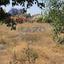 land for sale agios tychonas limassol 1768083 thumbnail 17034852