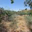 land for sale agios tychonas limassol 1768083 thumbnail 17034861
