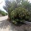 land for sale kelokedara paphos 8395083 thumbnail 16001078