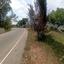 land for sale kelokedara paphos 8395083 thumbnail 16070743