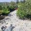 3 bedroom detached house for sale kato platres limassol 8112183 thumbnail 14834209