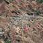 land for sale astromeritis nicosia 946183 thumbnail 10030675