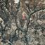 land for sale avdimou limassol 1785183 thumbnail 15597725