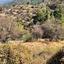 land for sale kannavia nicosia 7580183 thumbnail 16132126
