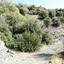 land under offer foinikaria limassol 829183 thumbnail 16545282