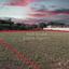 plot for sale alampra nicosia 1151183 thumbnail 5129658