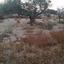 plot for sale pera orinis nicosia 1062183 thumbnail 16181534