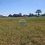 plot for sale psimolofou nicosia 7842283 thumbnail 15357274