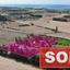 3 bedroom detached house sold koloni paphos 8567383 thumbnail 15630458
