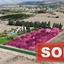 3 bedroom detached house sold koloni paphos 8567383 thumbnail 15630459
