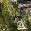 3 bedroom semi detached house for sale sotiros agios ioannis larnaca larnaca 7518383 thumbnail 16227913