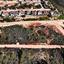 land for sale souni zanakia limassol 8629383 thumbnail 15909329