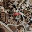 land for sale tersefanou larnaca 9004383 thumbnail 18383095