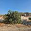 plot for sale paramytha limassol 7485383 thumbnail 9331564