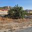 plot for sale paramytha limassol 7485383 thumbnail 9331568
