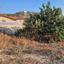 plot for sale paramytha limassol 7485383 thumbnail 9331569