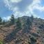 land for sale gourri nicosia 1041483 thumbnail 15600946