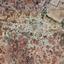 land for sale sotira ammochostou famagusta 947483 thumbnail 15601264