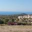 land for sale tala paphos 8959483 thumbnail 17782017