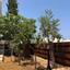 3 bedroom detached house for sale chlorakas paphos 1355583 thumbnail 5637655
