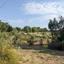 land for sale giolou paphos 944583 thumbnail 15598894