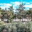 land for sale kiti larnaca 957583 thumbnail 5591969