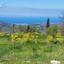 land for sale meladia paphos 1911583 thumbnail 7389506