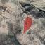 land for sale pachna limassol 826583 thumbnail 15600594
