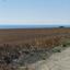3 bedroom detached house for sale pervolia larnaca 8782683 thumbnail 16645482