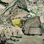 land for sale alaminos larnaca 8607683 thumbnail 15799296
