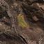 land for sale pissouri limassol 1800683 thumbnail 6150848