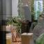 studio commercial building for sale limassol municipality limassol 1582683 thumbnail 5982934