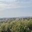 3 bedroom detached house for sale tremithousa paphos 8286783 thumbnail 14026982
