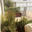 4 bedroom detached house for sale strovolos nicosia 1152783 thumbnail 5161594