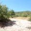 land for sale archimandrita paphos 1810783 thumbnail 15597634