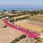 land for sale argaka paphos 7812783 thumbnail 10642935