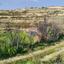 land for sale kathikas paphos 7508783 thumbnail 14143913