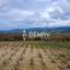 land for sale stroumbi paphos 7842783 thumbnail 17603089