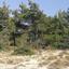 land for sale neo chorio paphos 839883 thumbnail 5480431