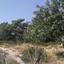 land for sale neo chorio paphos 839883 thumbnail 5480432