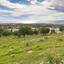 land for sale peyia paphos 8529883 thumbnail 15779571