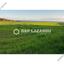 land for sale mazotos larnaca 1842983 thumbnail 6600494