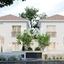 3 bedroom detached house for sale geroskipou paphos 7966093 thumbnail 14873872