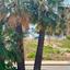 4 bedroom detached house for sale livadia larnacas larnaca 1115093 thumbnail 5431636