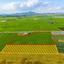 land for sale softades larnaca 8500093 thumbnail 16587741