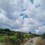 7693 SQM Land for sale in Koilani, Limassol thumbnail 15188847