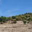 6689 SQM Plot for sale in Koili, Paphos thumbnail 16182818